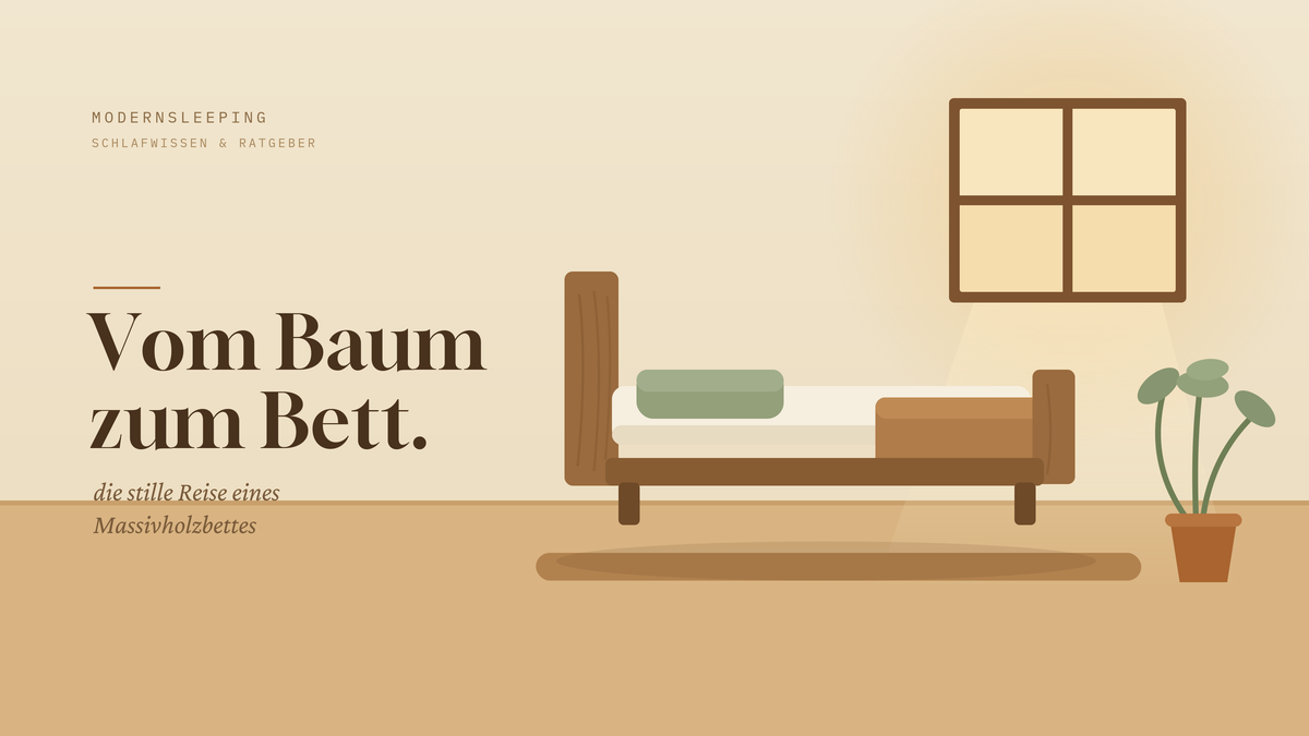 Massivholzbett aus Eiche im warmen Morgenlicht – Ratgeber „Vom Baum zum Bett"